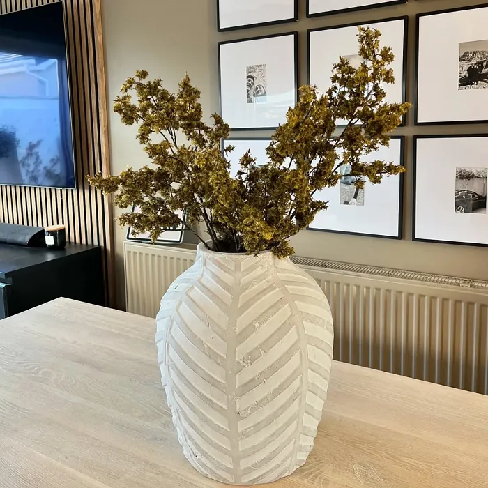 Benjamin Moore Stampede dining room 