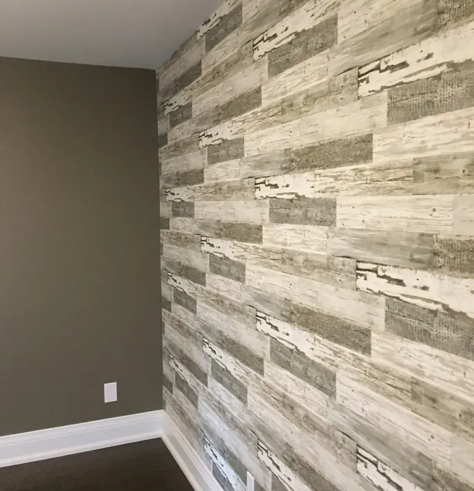 Benjamin Moore Stampede wall paint 