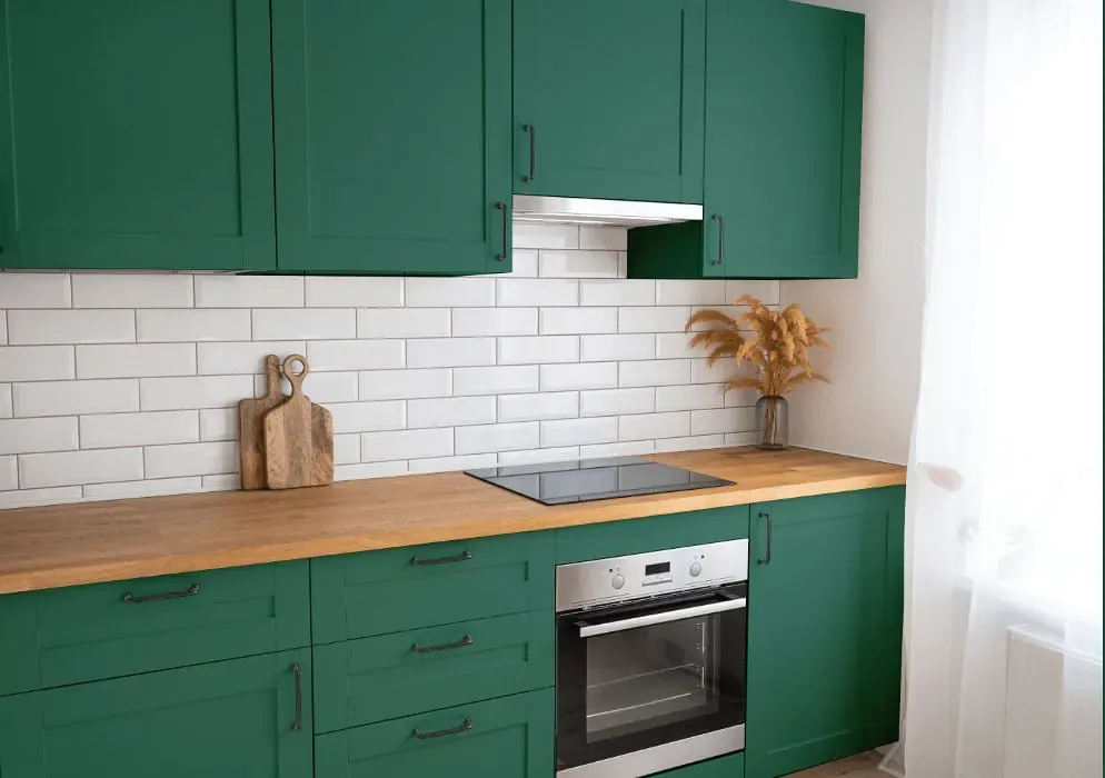 Benjamin Moore Steamed Spinach kitchen cabinets