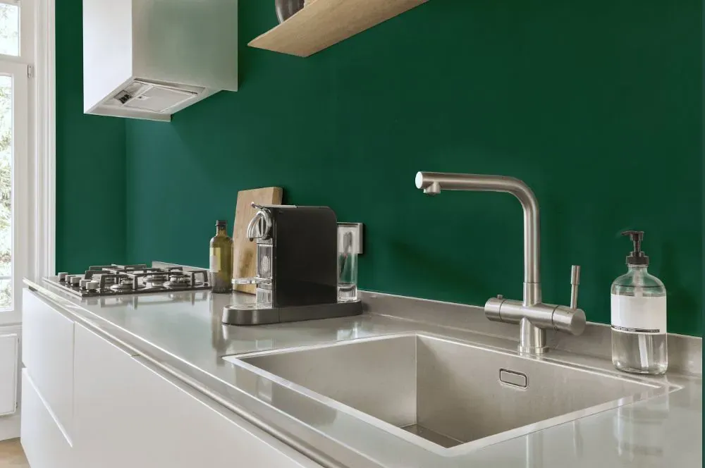 Benjamin Moore Steamed Spinach kitchen painted backsplash