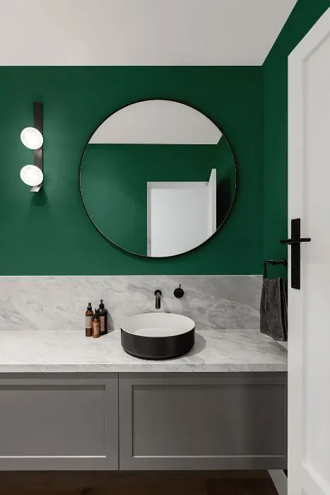 Benjamin Moore Steamed Spinach minimalist bathroom