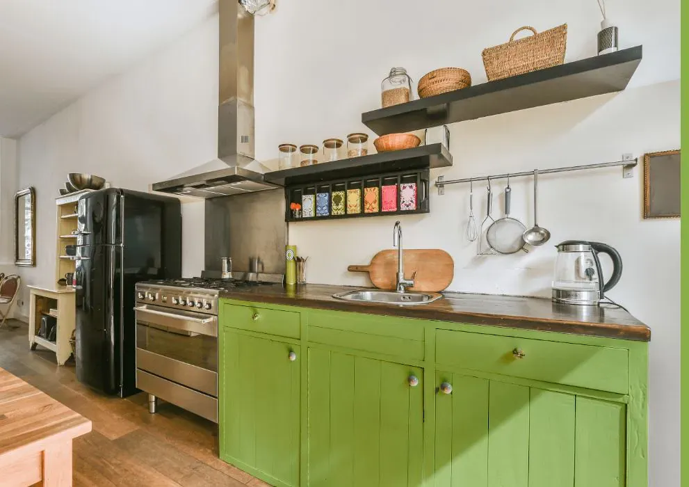 Benjamin Moore Stem Green kitchen cabinets