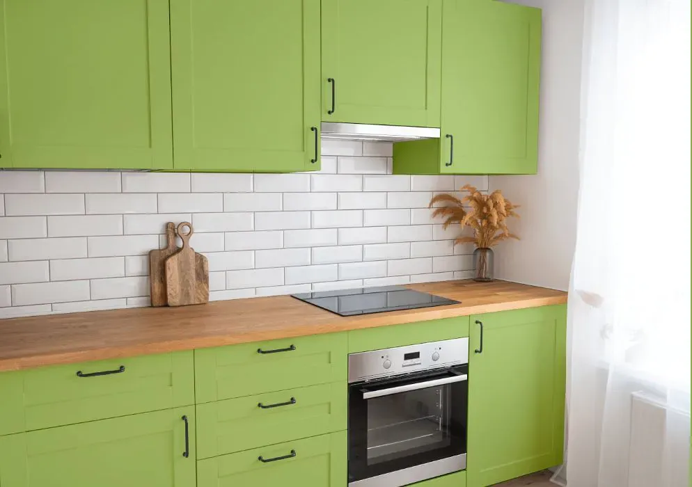 Benjamin Moore Stem Green kitchen cabinets