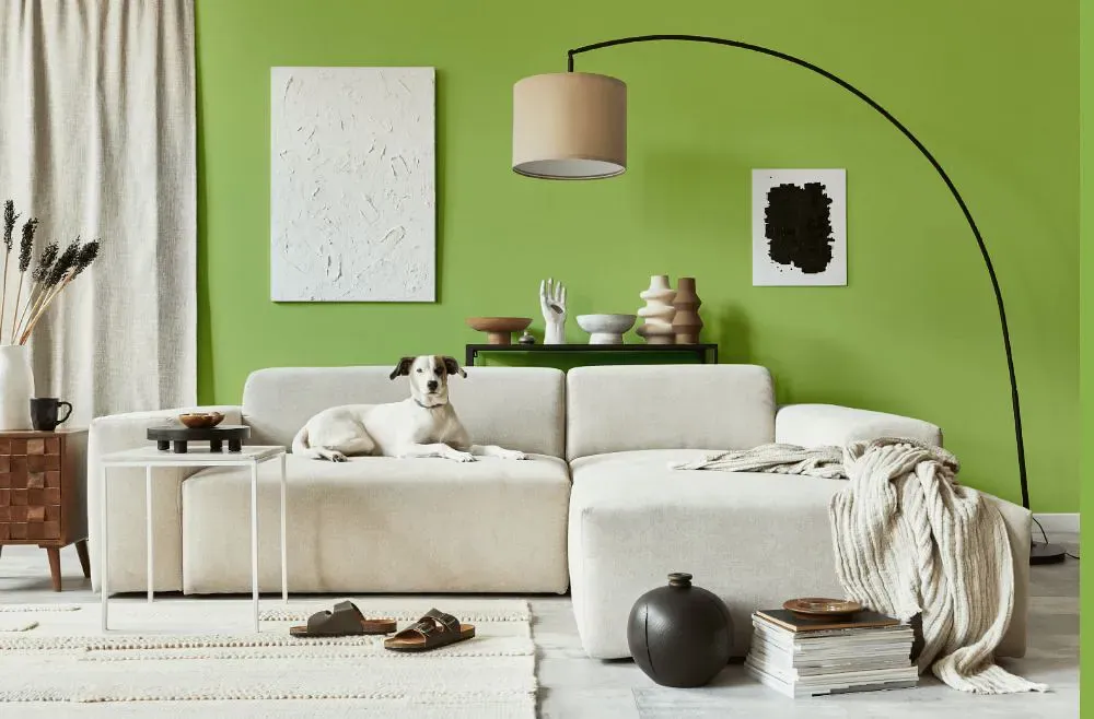 Benjamin Moore Stem Green cozy living room