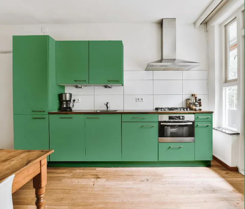 Benjamin Moore Stokes Forest Green kitchen cabinets