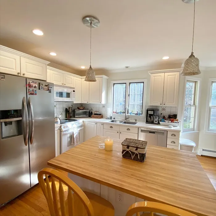 Benjamin Moore Stoneware kitchen interior