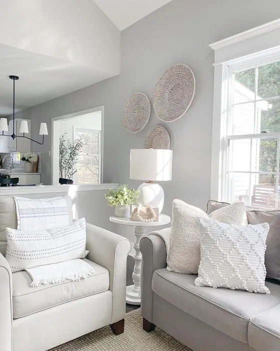 Benjamin Moore Stonington Gray Living Room