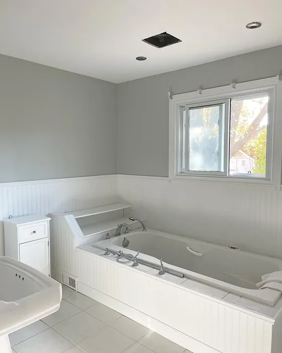 Benjamin Moore Stonington Gray bathroom color