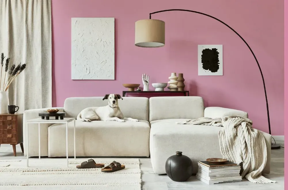 Benjamin Moore Strawberry cozy living room