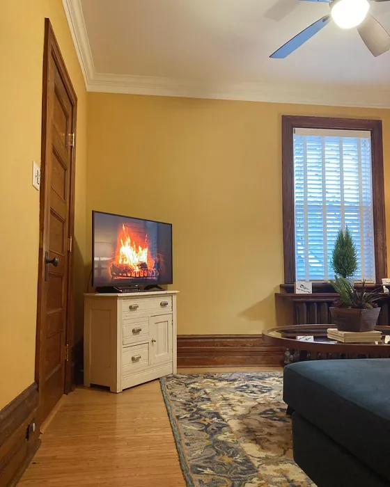 Benjamin Moore Stuart Gold living room review