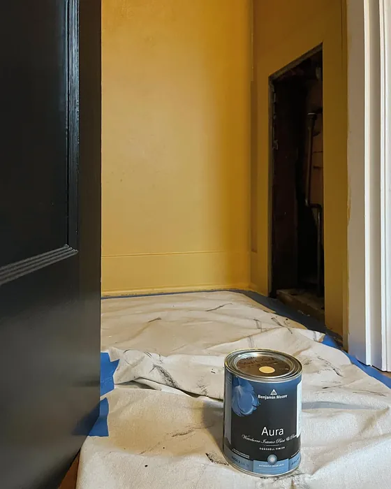 Benjamin Moore Stuart Gold hallway color