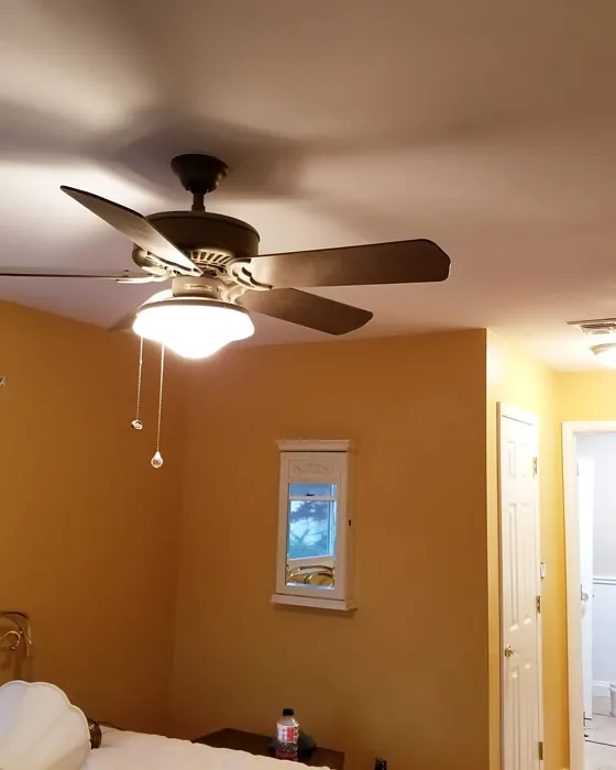 Benjamin Moore HC-10 wall paint review