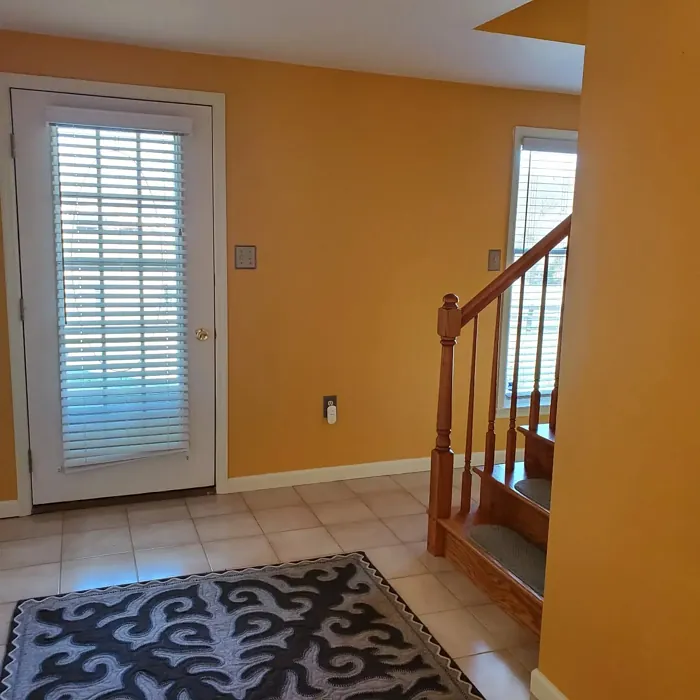 Benjamin Moore Stuart Gold living room paint review