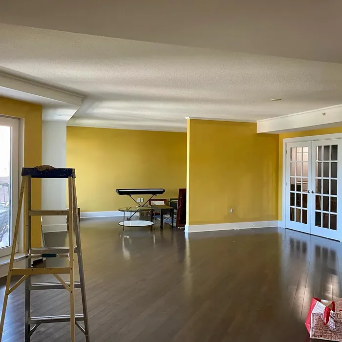 Benjamin Moore Stuart Gold wall paint 