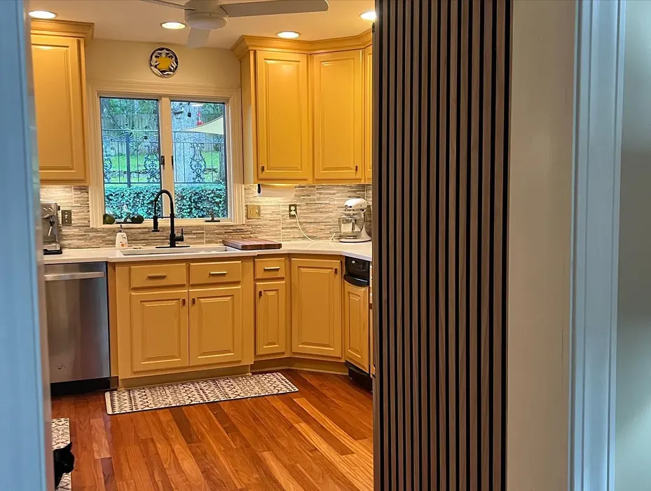 Benjamin Moore Stuart Gold kitchen cabinets picture