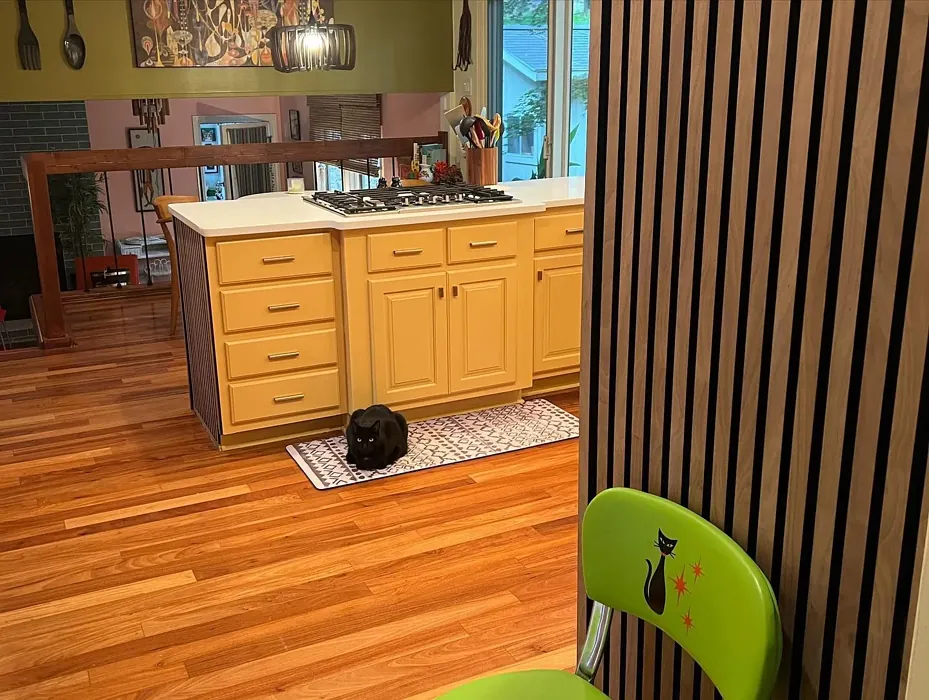 Benjamin Moore Stuart Gold kitchen cabinets 