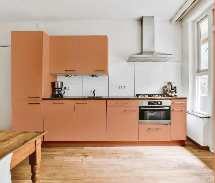Benjamin Moore Succulent Peach kitchen cabinets