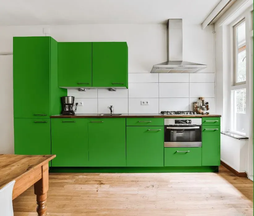 Benjamin Moore Sullivan Green kitchen cabinets