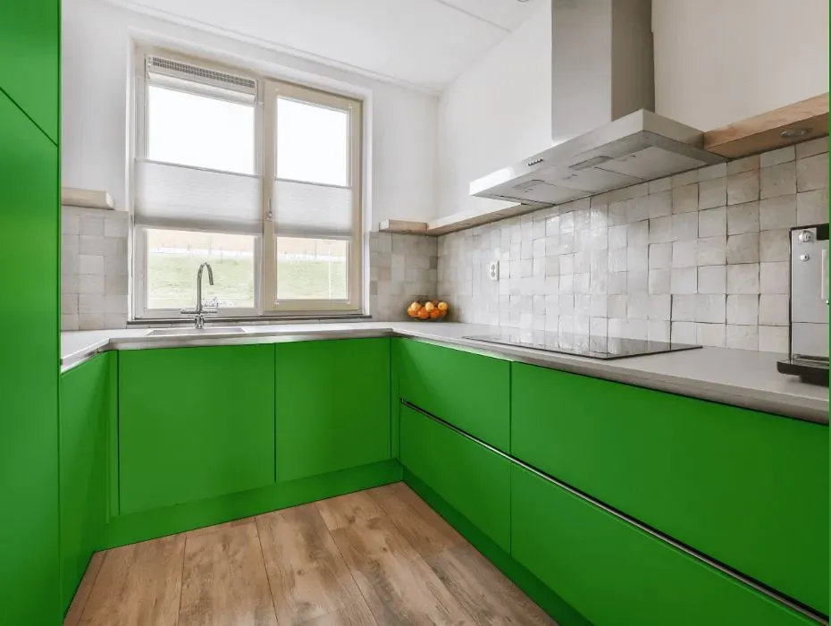 Benjamin Moore Sullivan Green small kitchen cabinets