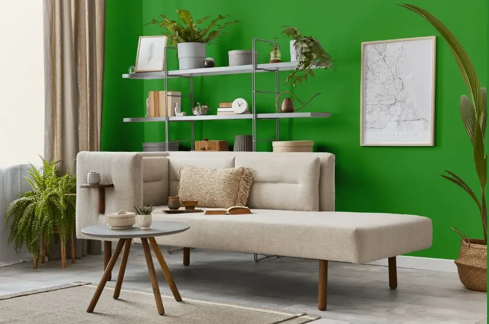 Benjamin Moore Sullivan Green living room