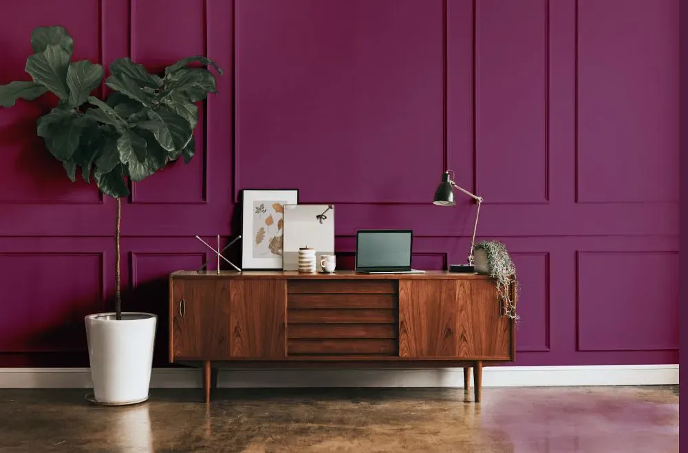 Benjamin Moore Summer Plum modern interior