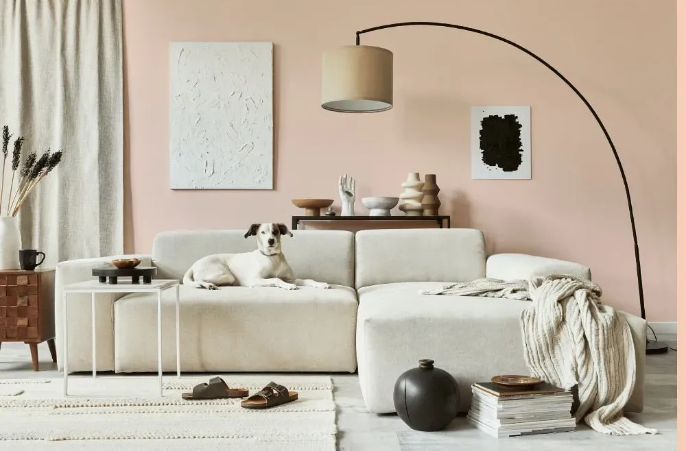 Benjamin Moore Sunlit Coral cozy living room