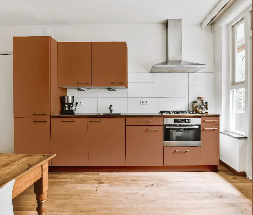 Benjamin Moore Suntan Bronze kitchen cabinets