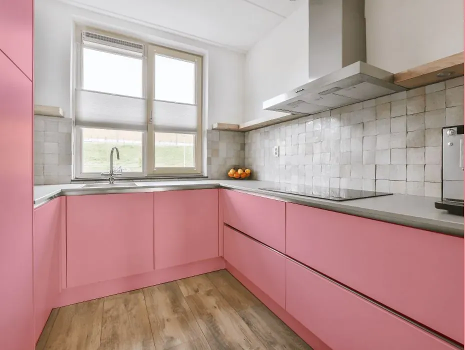 Benjamin Moore Supple Pink small kitchen cabinets