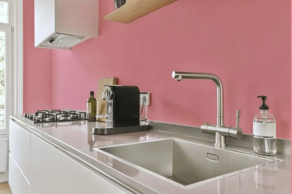 Benjamin Moore Supple Pink kitchen painted backsplash