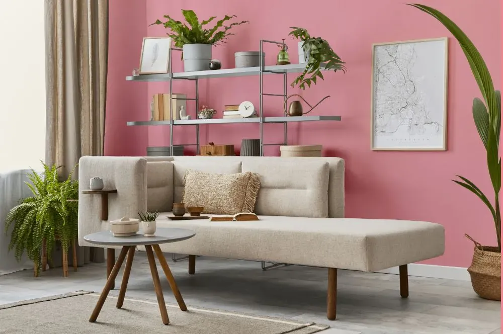 Benjamin Moore Supple Pink living room