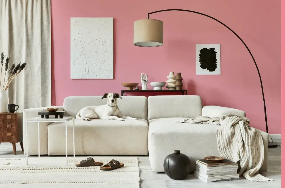 Benjamin Moore Supple Pink cozy living room