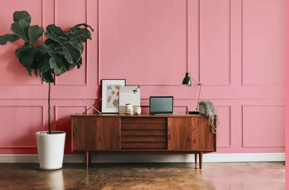 Benjamin Moore Supple Pink modern interior