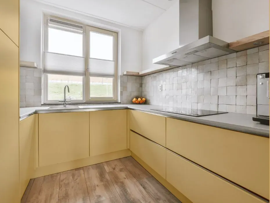 Benjamin Moore Sweeney Yellow small kitchen cabinets