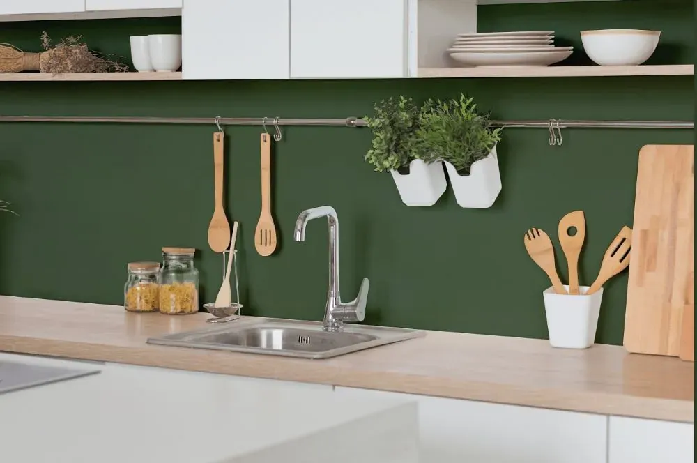 Benjamin Moore Sweet Basil kitchen backsplash