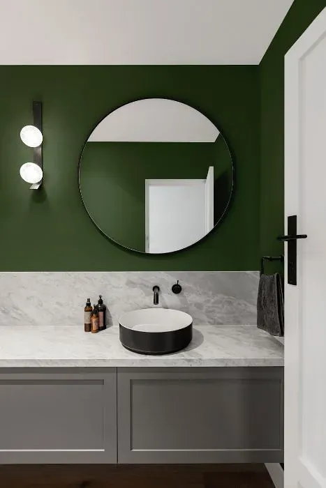 Benjamin Moore Sweet Basil minimalist bathroom