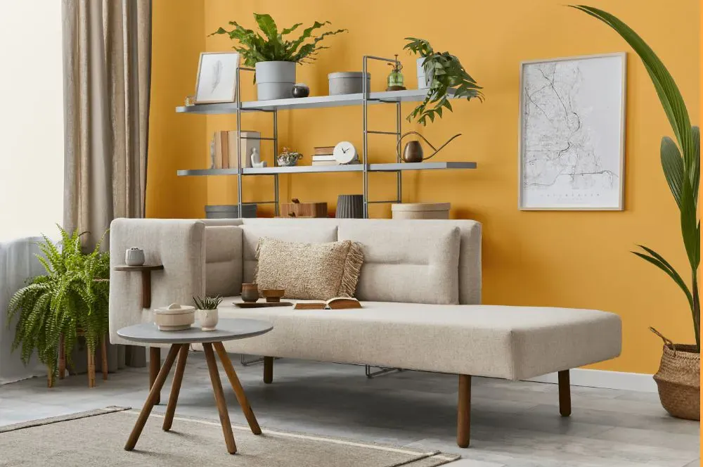 Benjamin Moore Sweet Orange living room