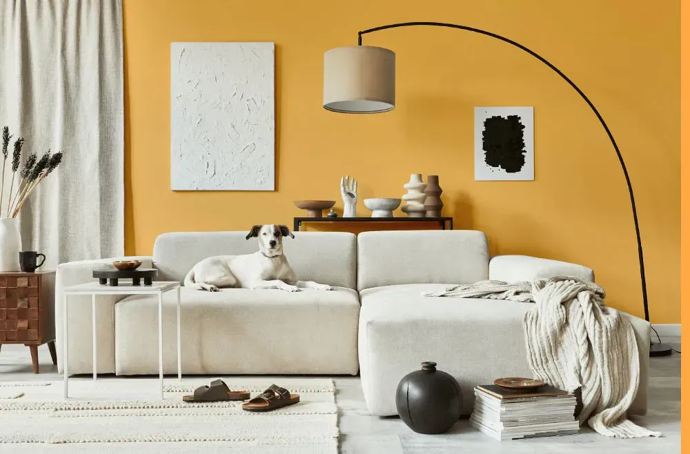 Benjamin Moore Sweet Orange cozy living room
