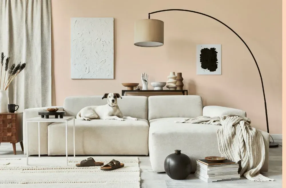 Benjamin Moore Sweet Salmon cozy living room