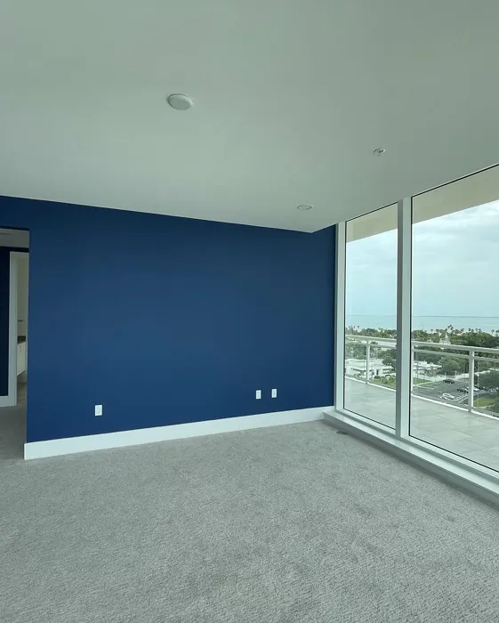 Symphony Blue Accent Wall
