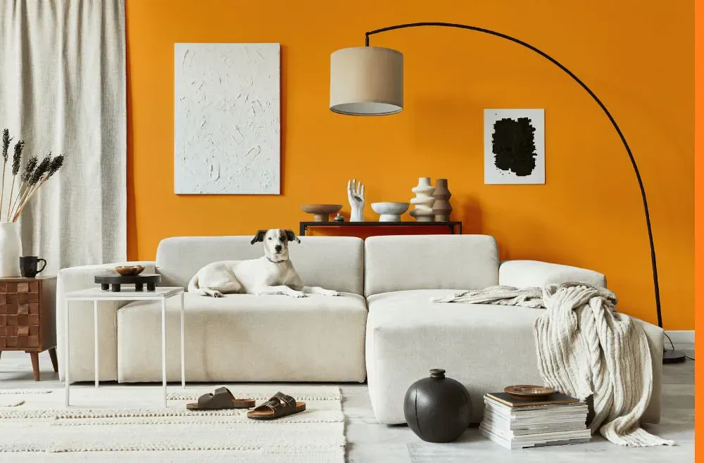 Benjamin Moore Tangelo cozy living room