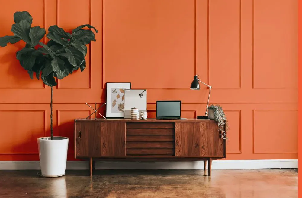 Benjamin Moore Tangerine Fusion modern interior