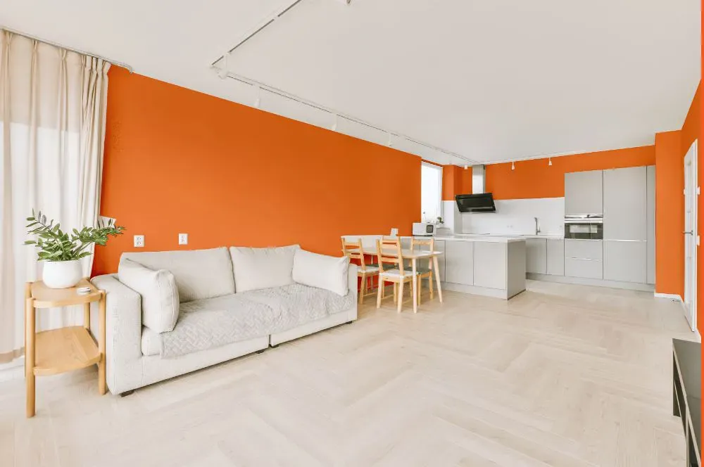 Benjamin Moore Tangerine Melt living room interior