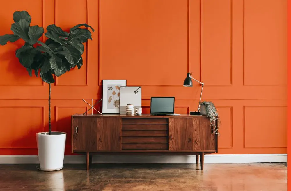 Benjamin Moore Tangy Orange modern interior