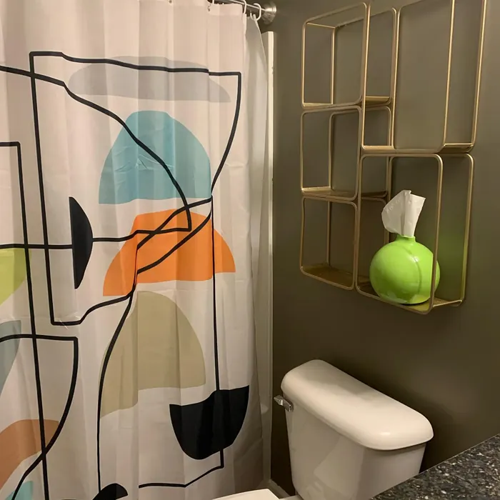 Benjamin Moore Taos Taupe Bathroom