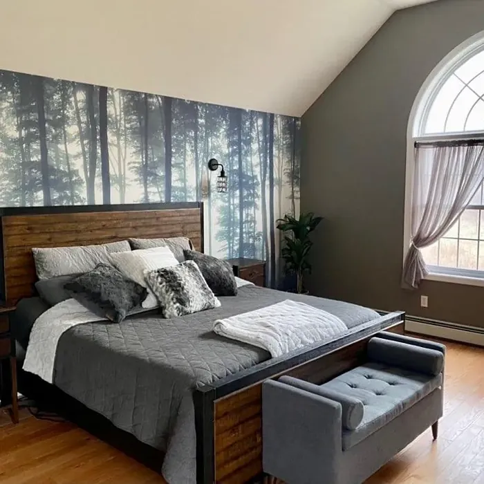 Taos Taupe bedroom color review