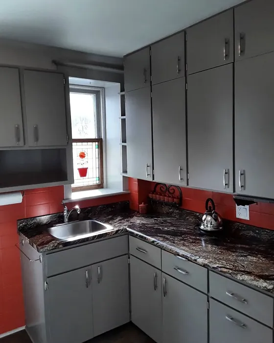 Taos Taupe kitchen cabinets 