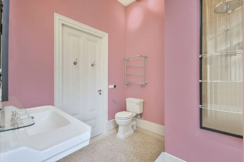 Benjamin Moore Tara bathroom