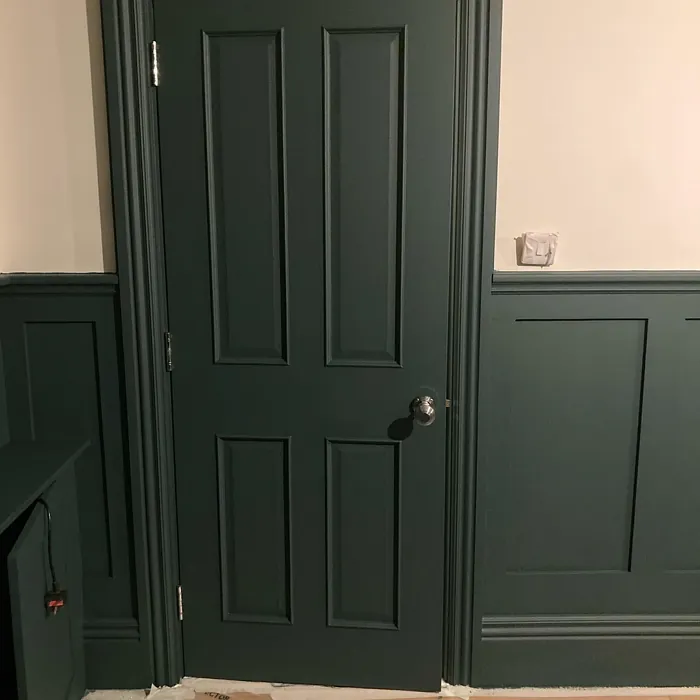 Tarrytown Green Door