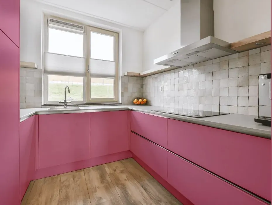 Benjamin Moore Taste of Berry small kitchen cabinets