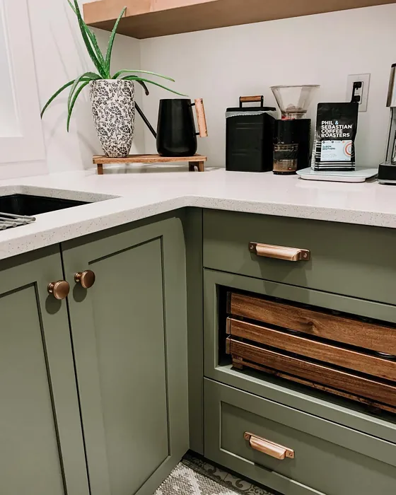 Benjamin Moore Tate Olive Kitchen Cabinets